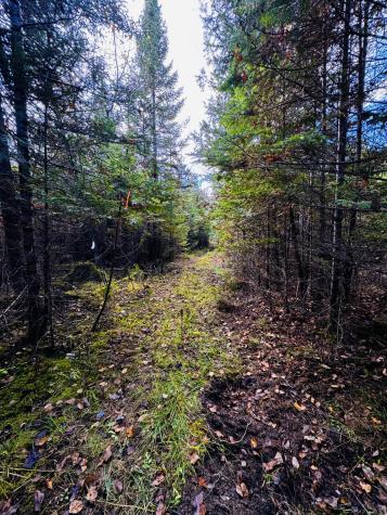 M101 L65-1 Line Road Dexter ME 04930