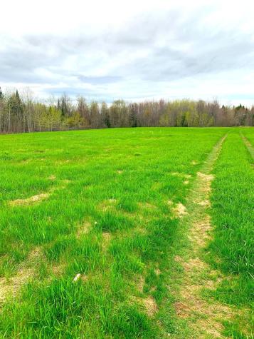 M101 L65-1 Line Road Dexter ME 04930