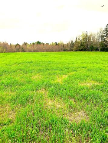 M101 L65-1 Line Road Dexter ME 04930