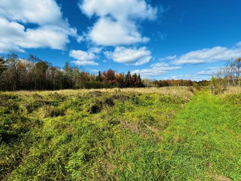 M101 L65-1 Line Road Dexter ME 04930