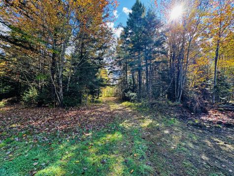 M101 L65-1 Line Road Dexter ME 04930