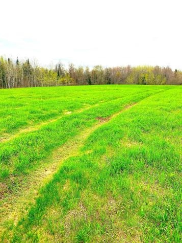 M101 L65-1 Line Road Dexter ME 04930