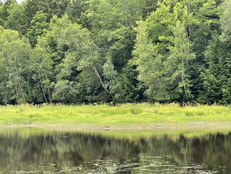 R08-001 West Branch Road Mariaville ME 04605