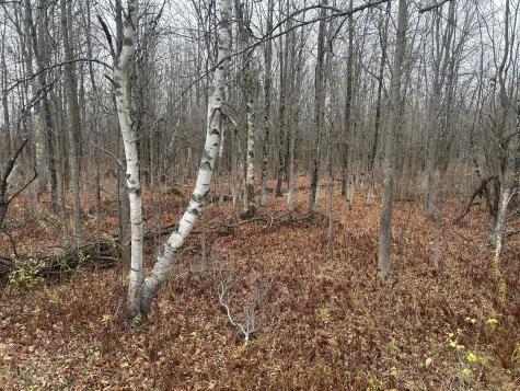 M10 L 7a Higgins Road Pittsfield ME 04922