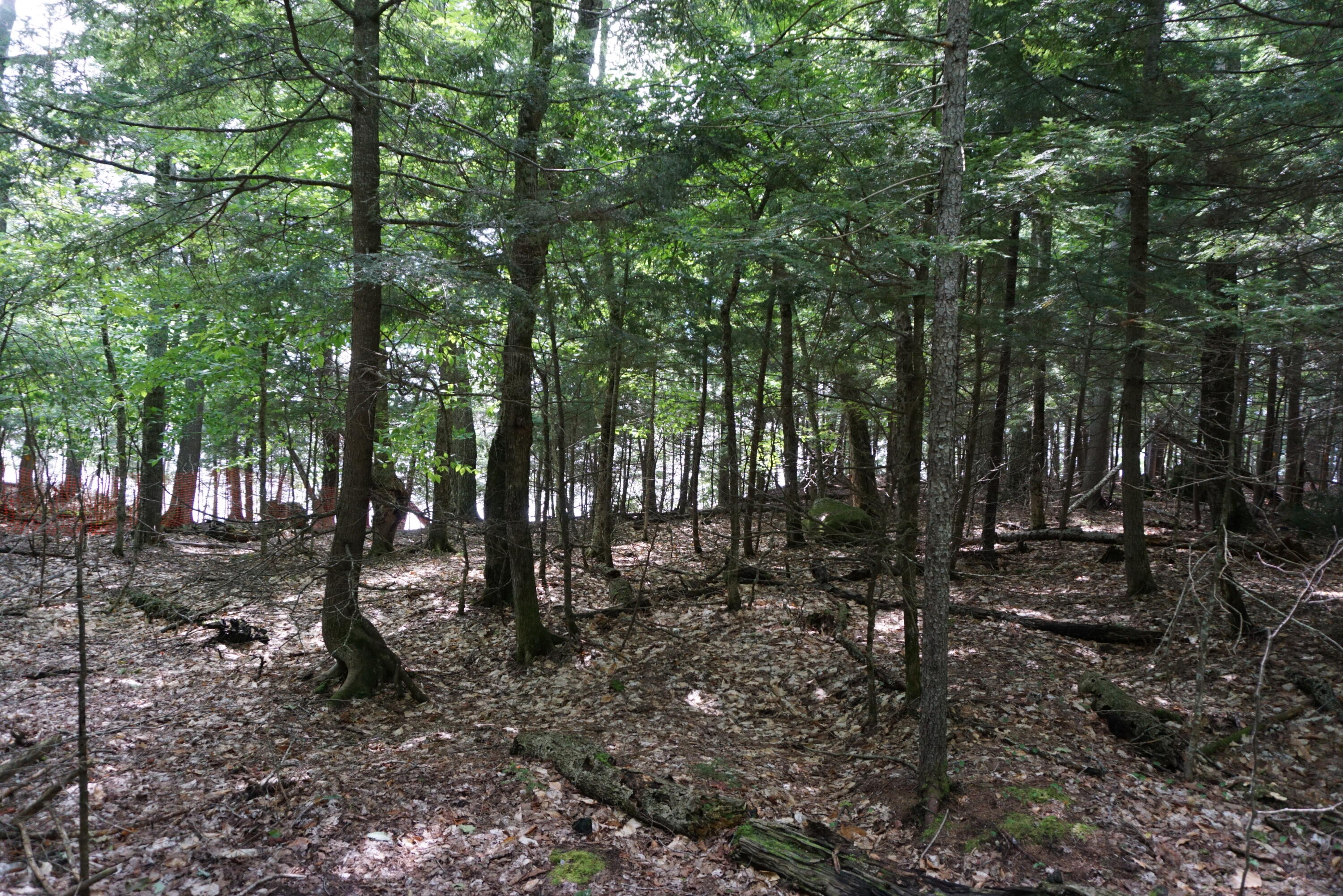 Lot 26 Black Point Road Beaver Cove ME 04441