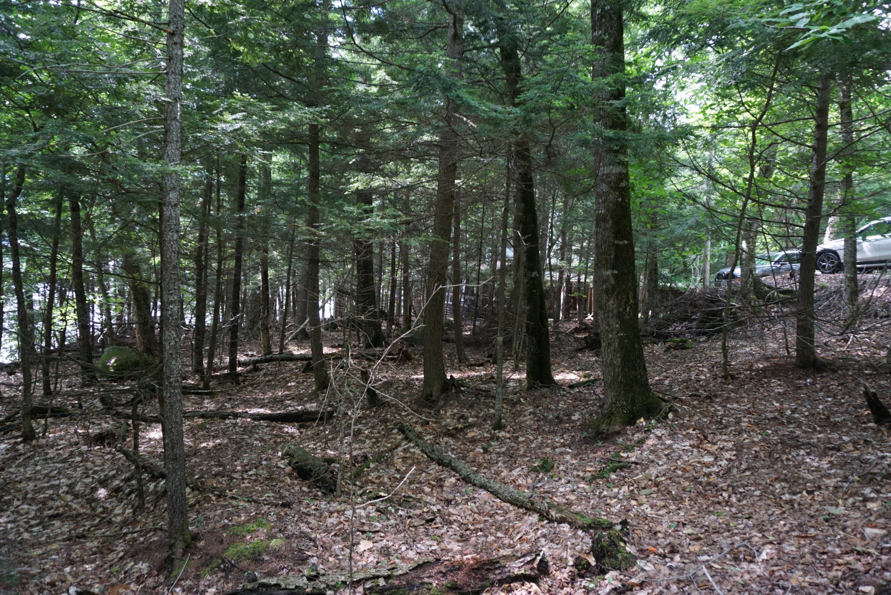 Lot 26 Black Point Road Beaver Cove ME 04441