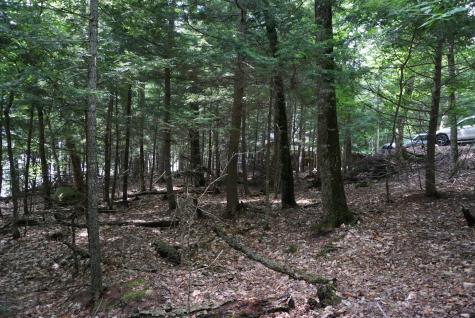 Lot 26 Black Point Road Beaver Cove ME 04441