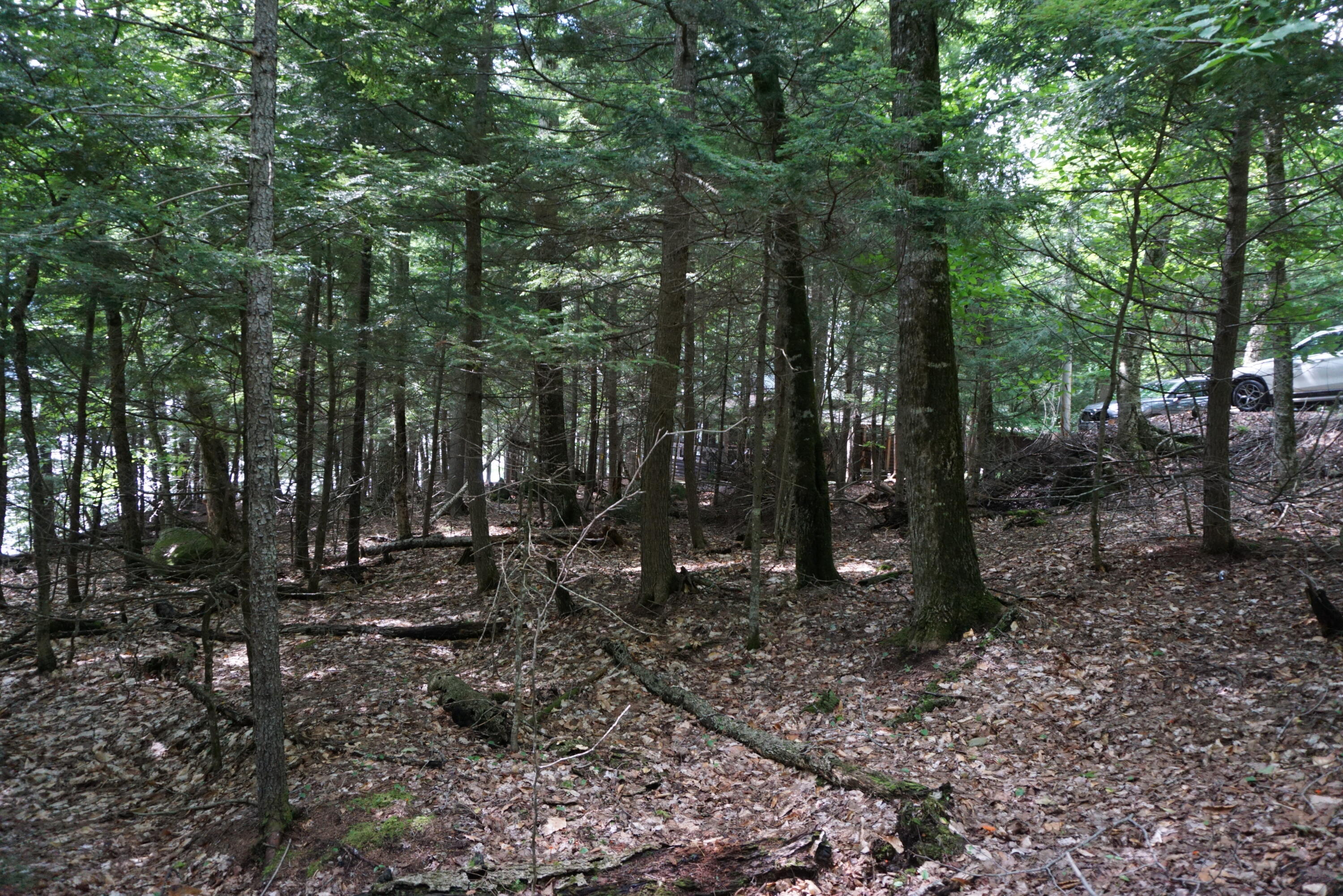 Lot 26 Black Point Road Beaver Cove ME 04441