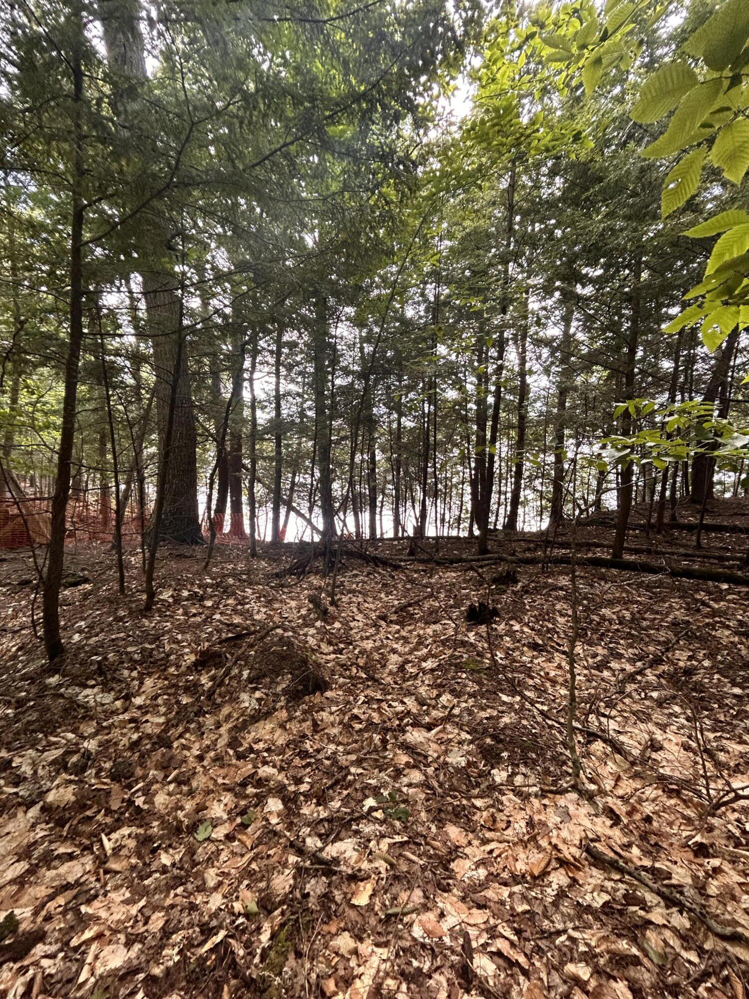 Lot 26 Black Point Road Beaver Cove ME 04441