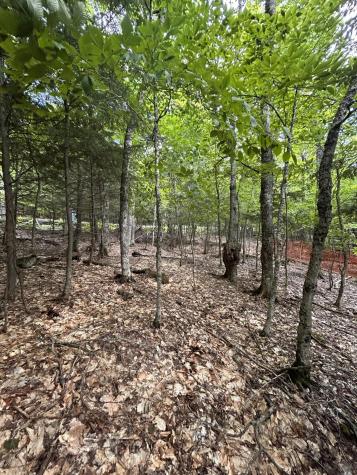 Lot 26 Black Point Road Beaver Cove ME 04441