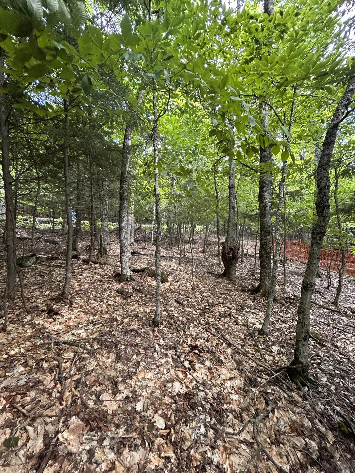 Lot 26 Black Point Road Beaver Cove ME 04441