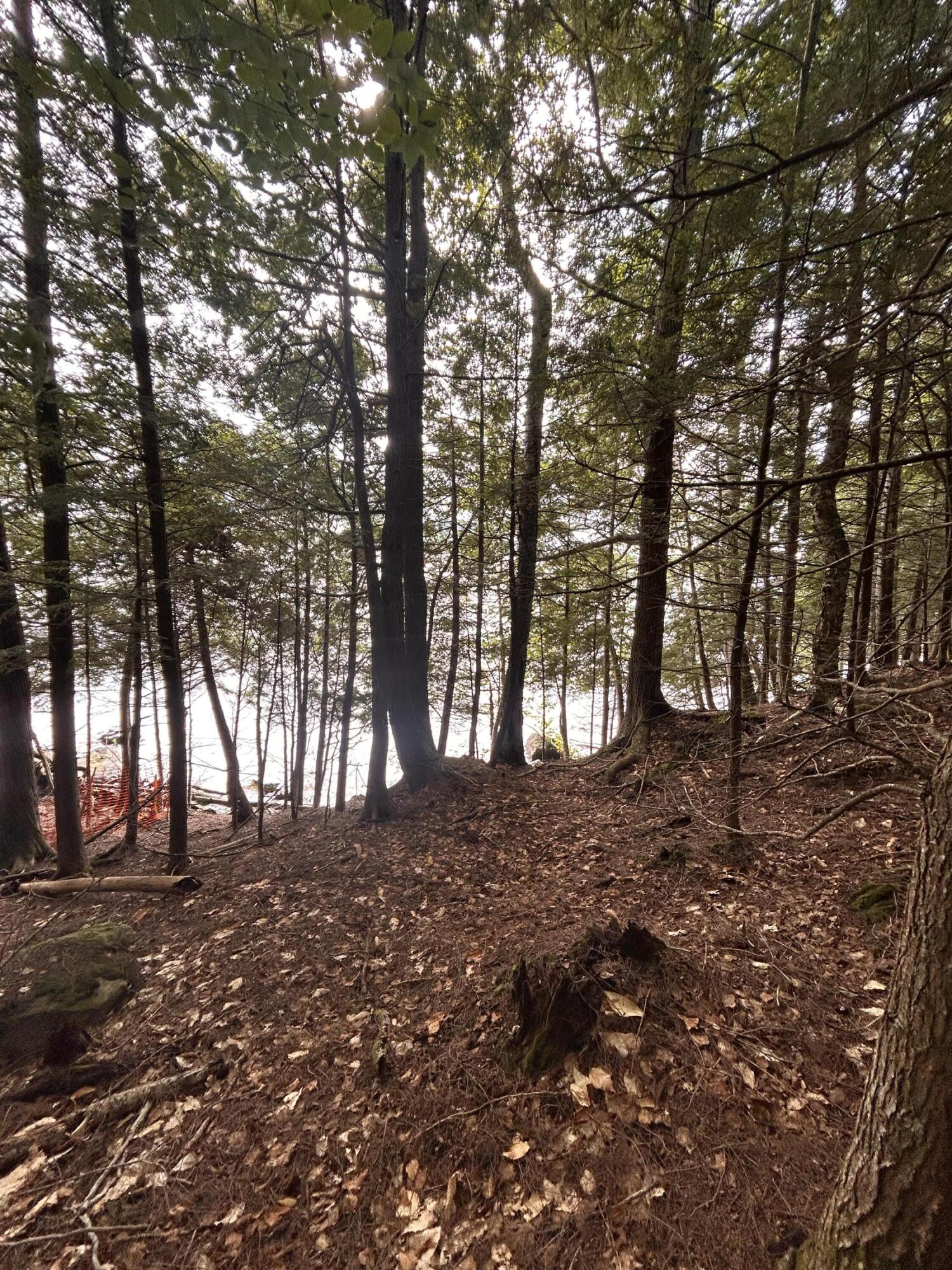 Lot 26 Black Point Road Beaver Cove ME 04441