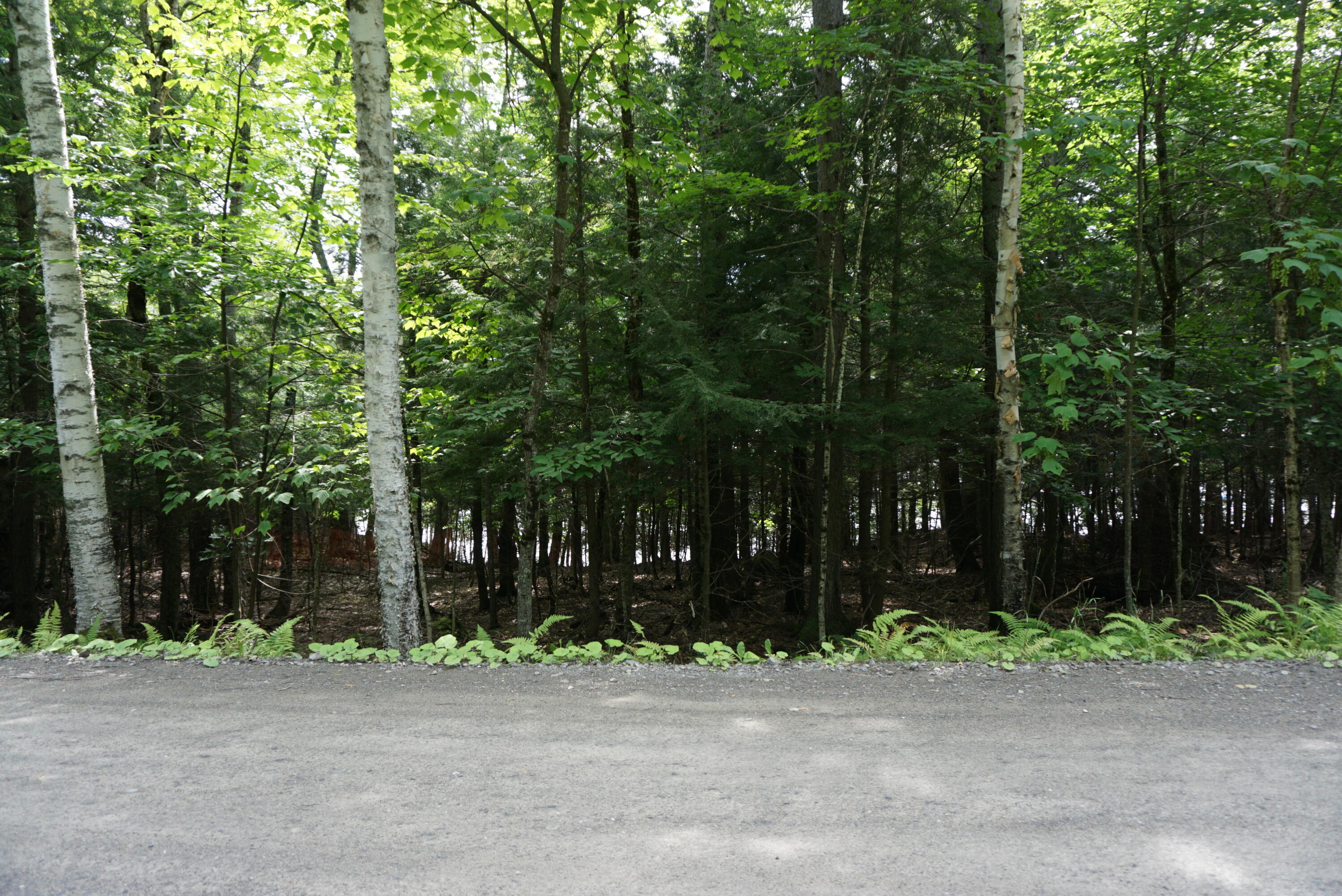 Lot 26 Black Point Road Beaver Cove ME 04441