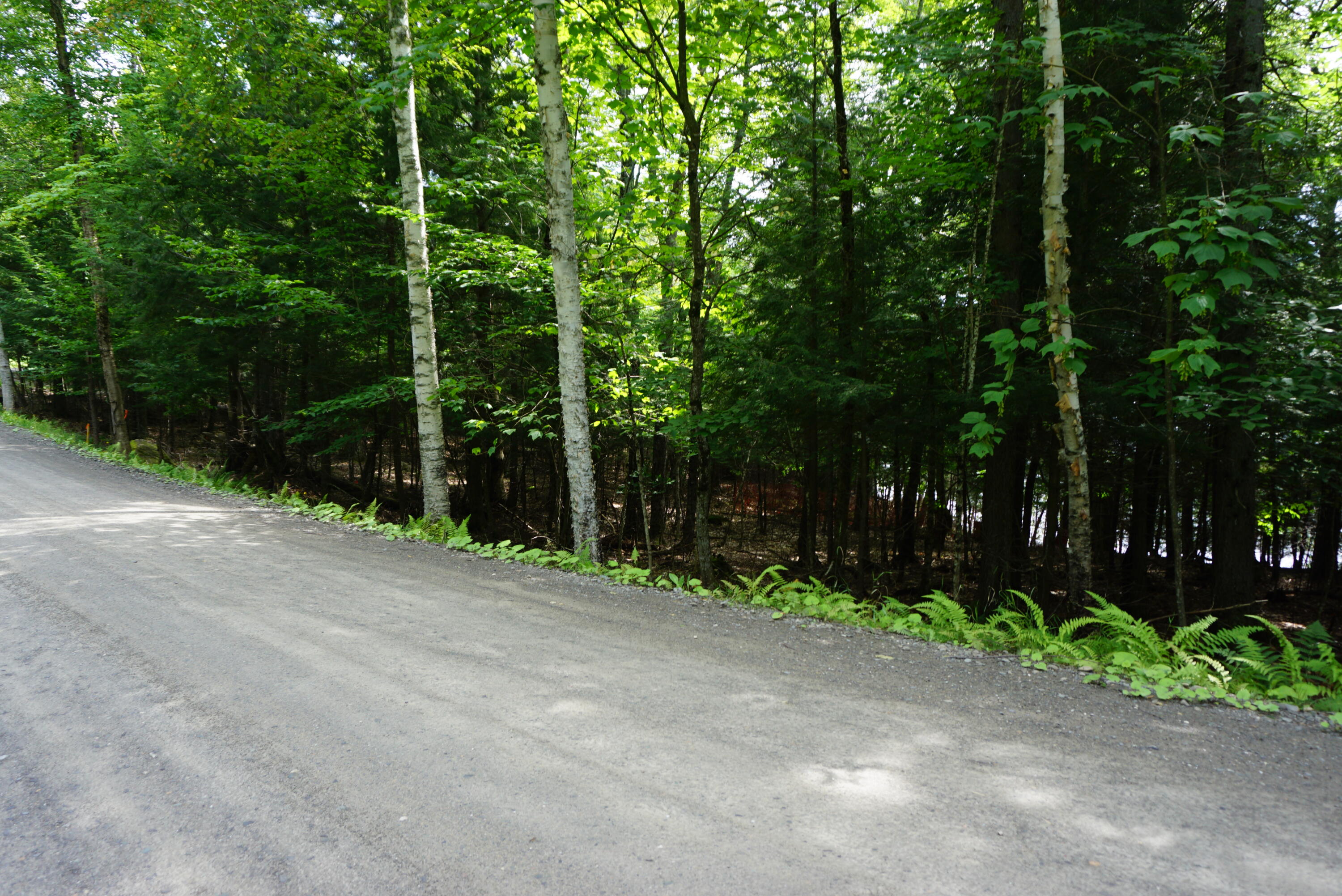 Lot 26 Black Point Road Beaver Cove ME 04441