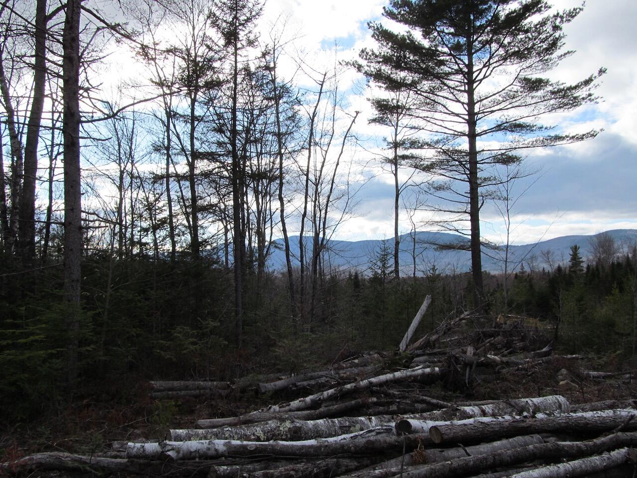 923 Center Hill Road Weld ME 04285