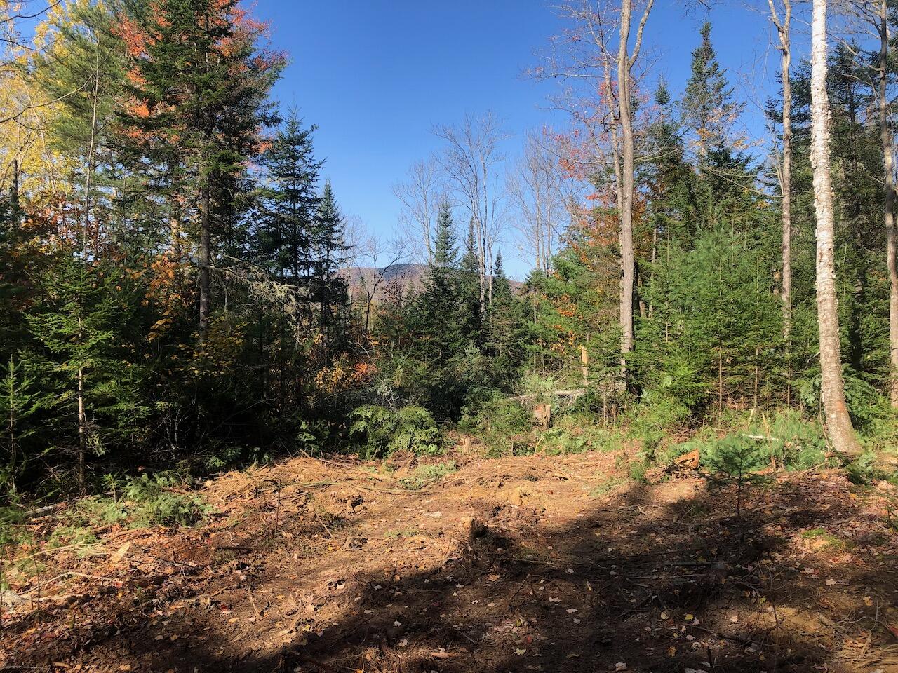 923 Center Hill Road Weld ME 04285