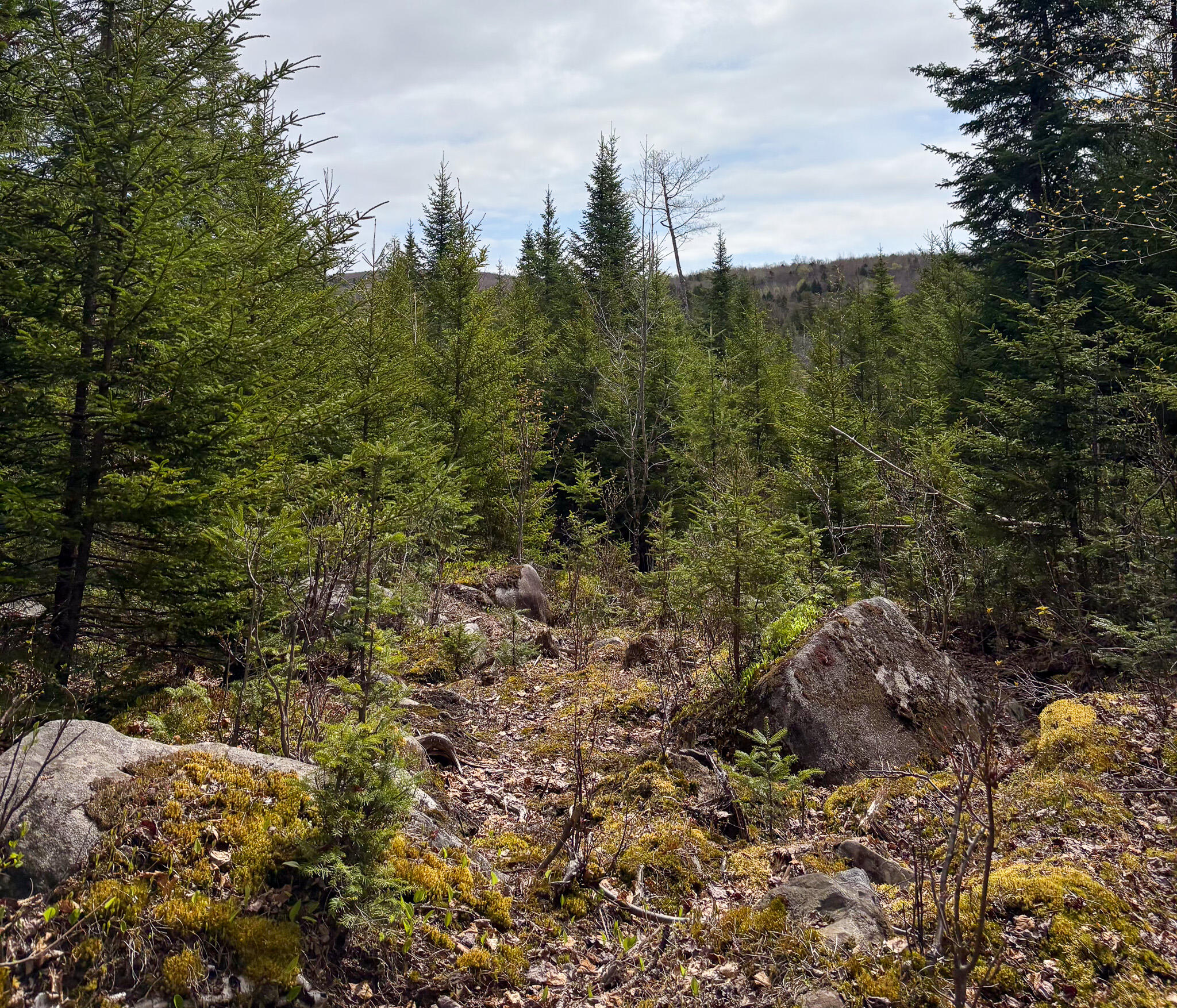 Lot 10 Morrison Brook Acres Oakfield ME 04763