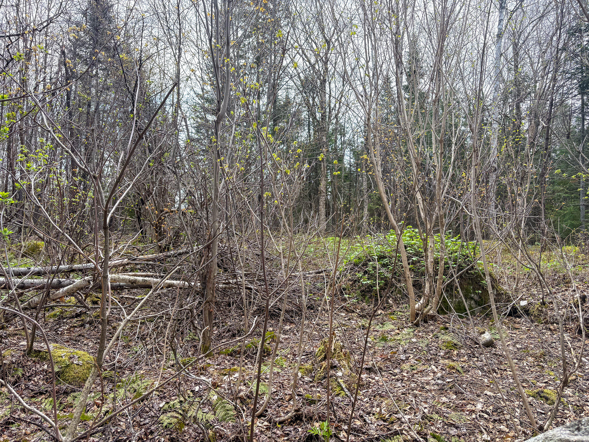 Lot 10 Morrison Brook Acres Oakfield ME 04763
