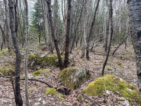 Lot 10 Morrison Brook Acres Oakfield ME 04763