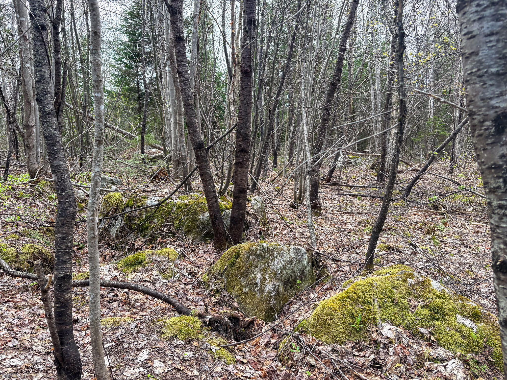 Lot 10 Morrison Brook Acres Oakfield ME 04763