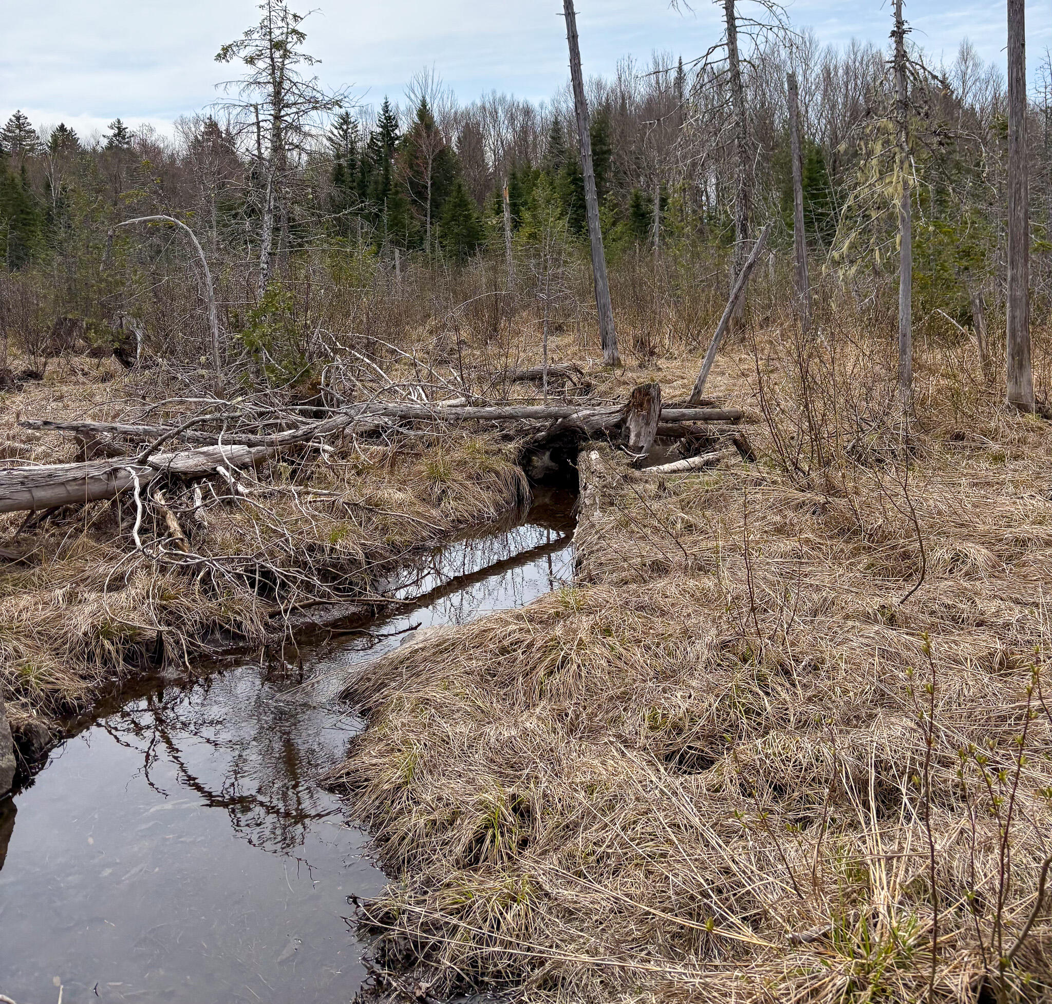 Lot 10 Morrison Brook Acres Oakfield ME 04763