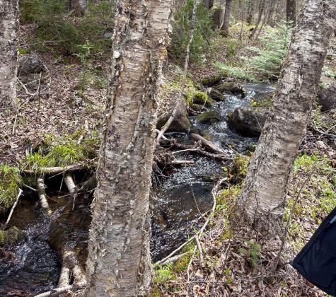 Lot 10 Morrison Brook Acres Oakfield ME 04763