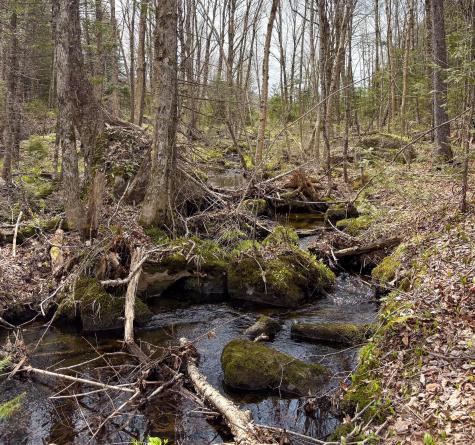 Lot 10 Morrison Brook Acres Oakfield ME 04763