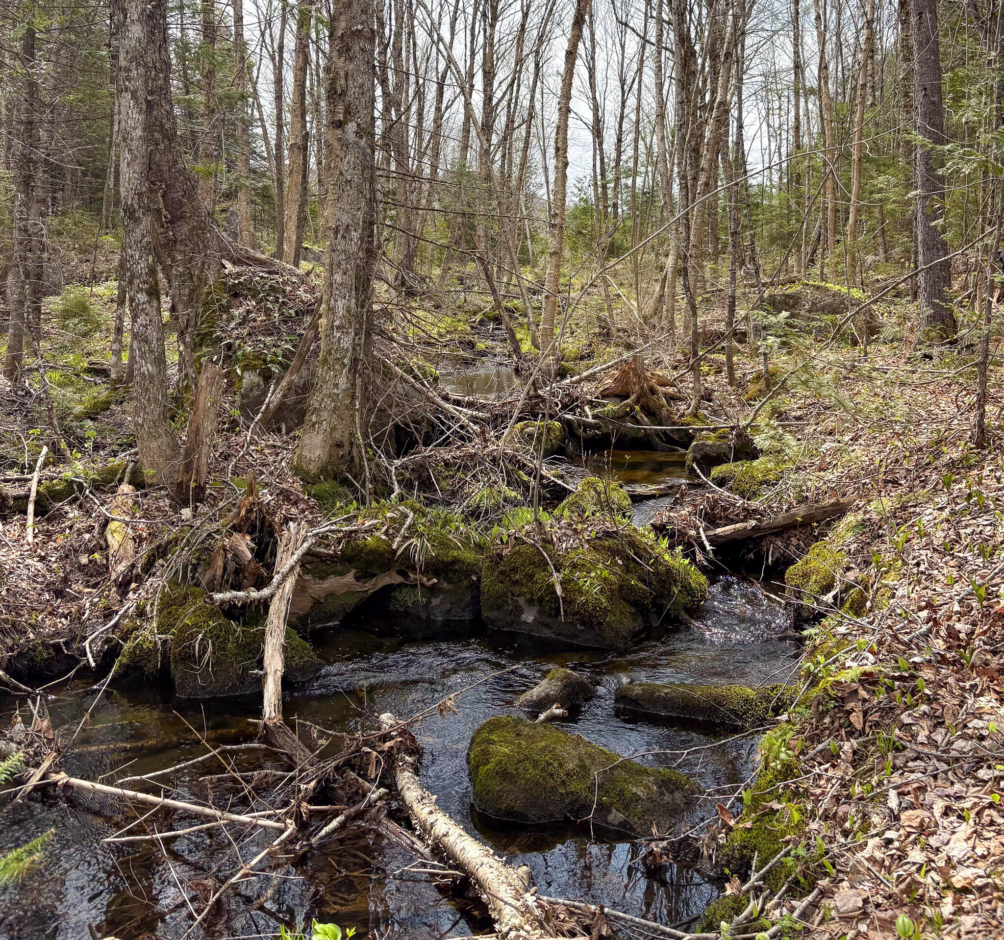 Lot 10 Morrison Brook Acres Oakfield ME 04763