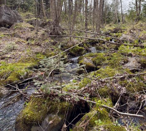 Lot 10 Morrison Brook Acres Oakfield ME 04763