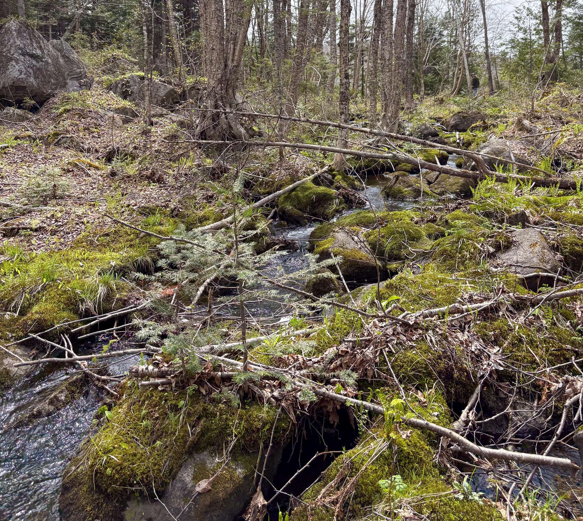 Lot 10 Morrison Brook Acres Oakfield ME 04763