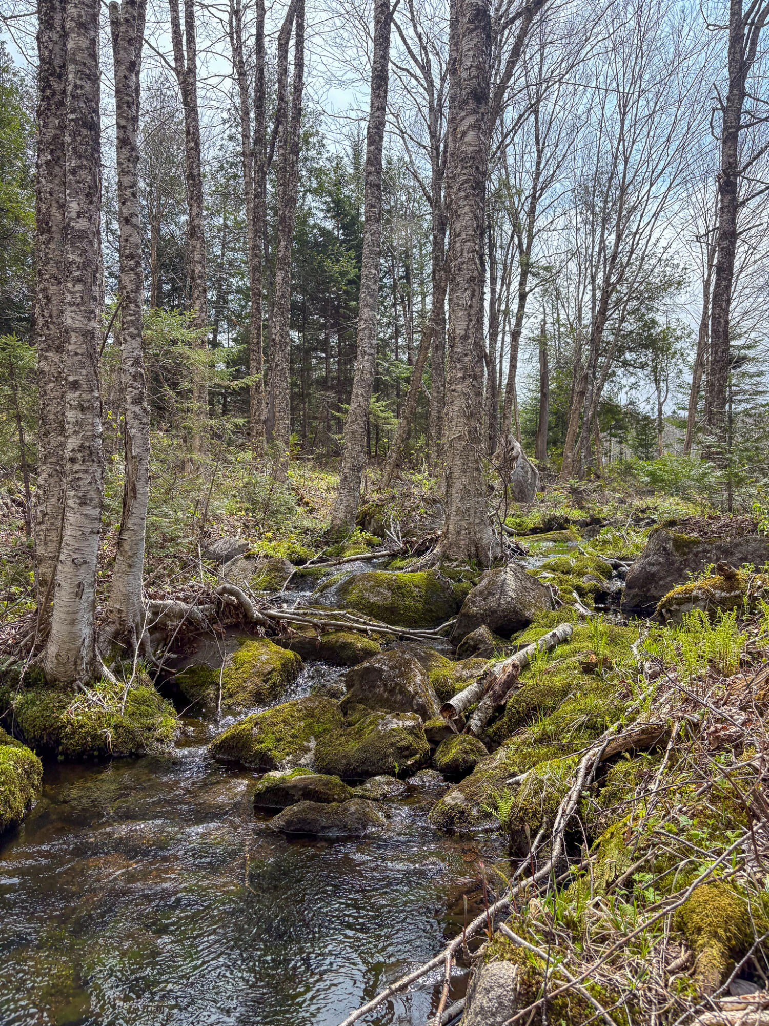 Lot 10 Morrison Brook Acres Oakfield ME 04763