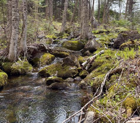 Lot 10 Morrison Brook Acres Oakfield ME 04763
