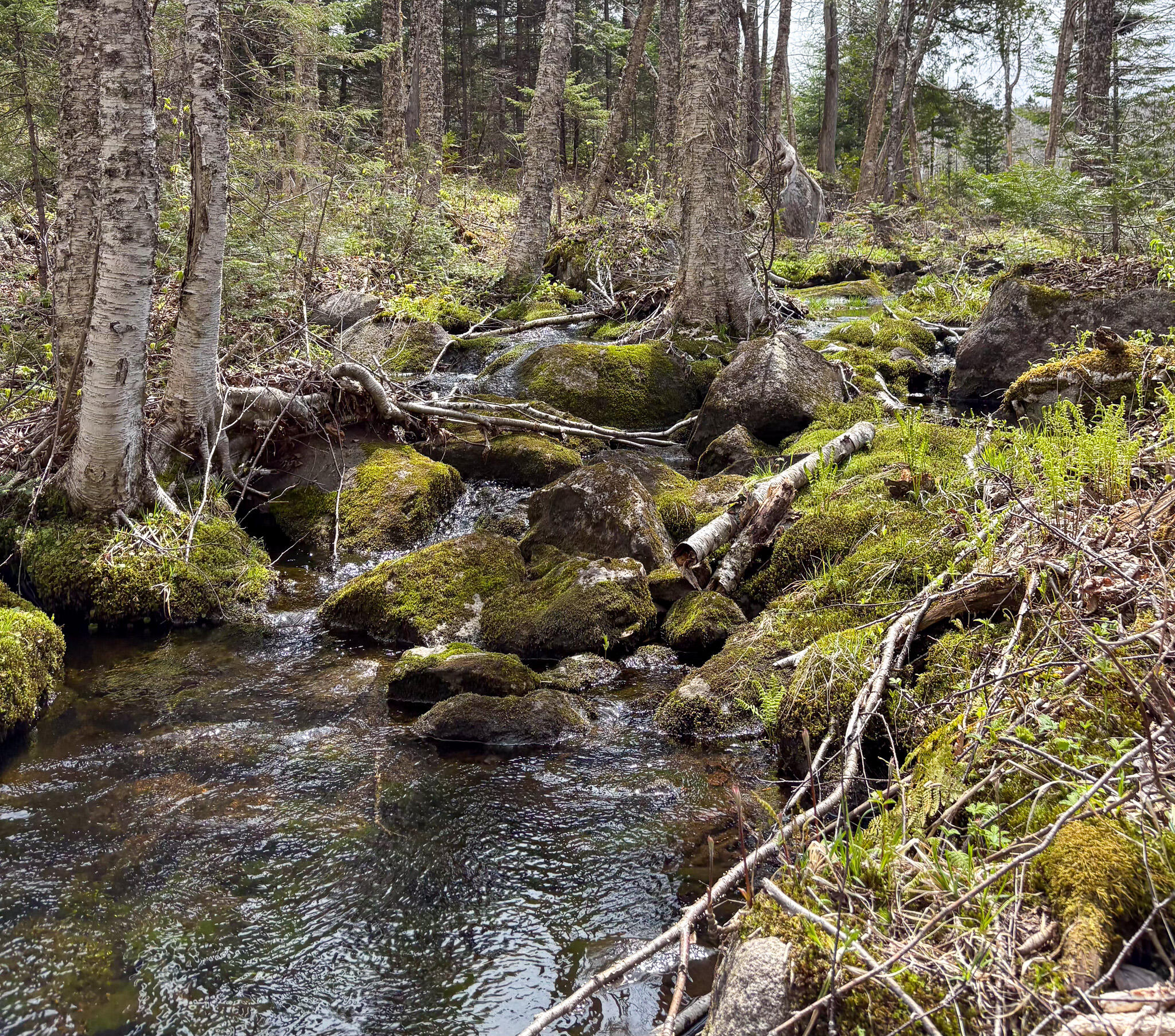 Lot 10 Morrison Brook Acres Oakfield ME 04763