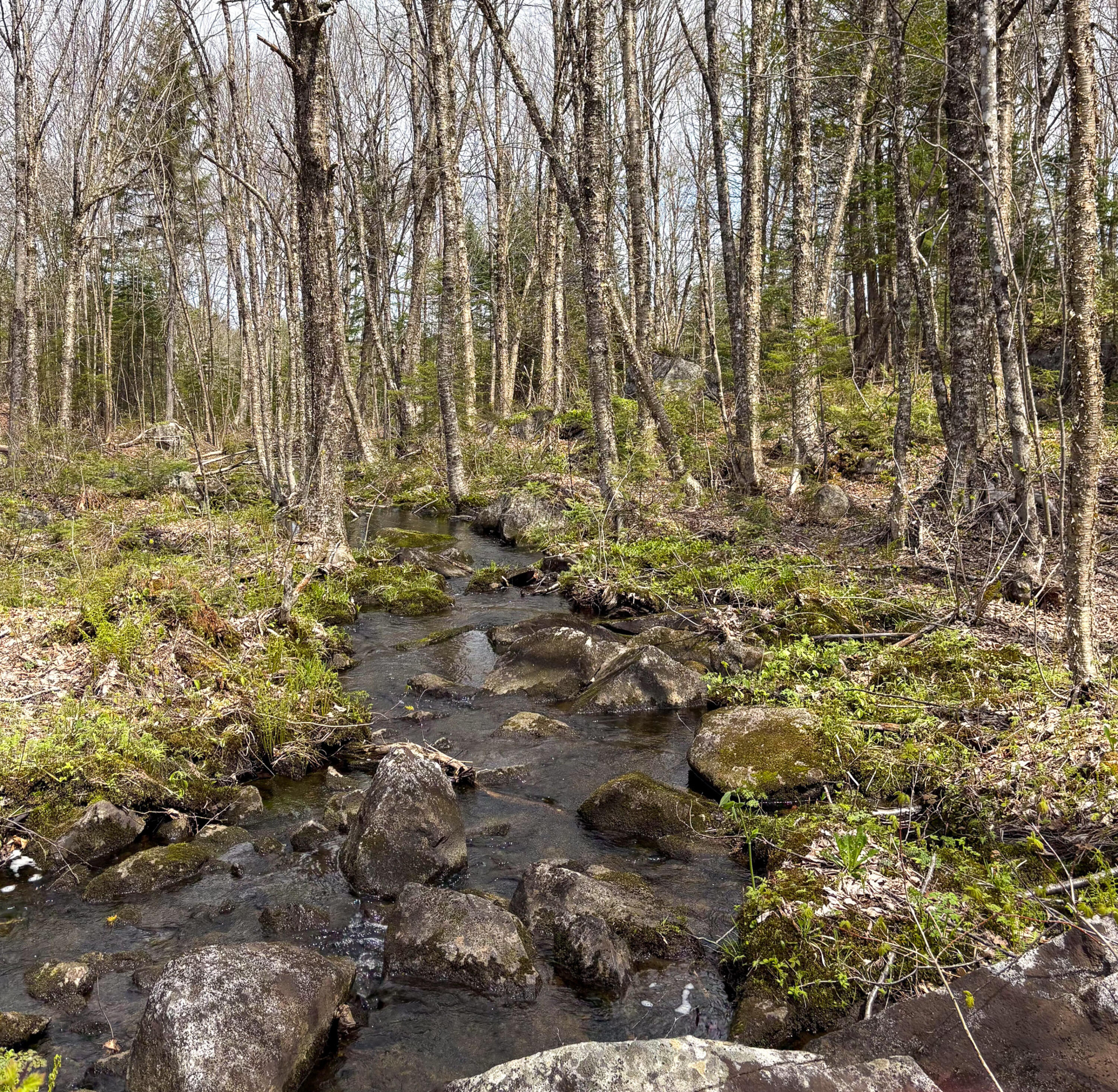 Lot 10 Morrison Brook Acres Oakfield ME 04763