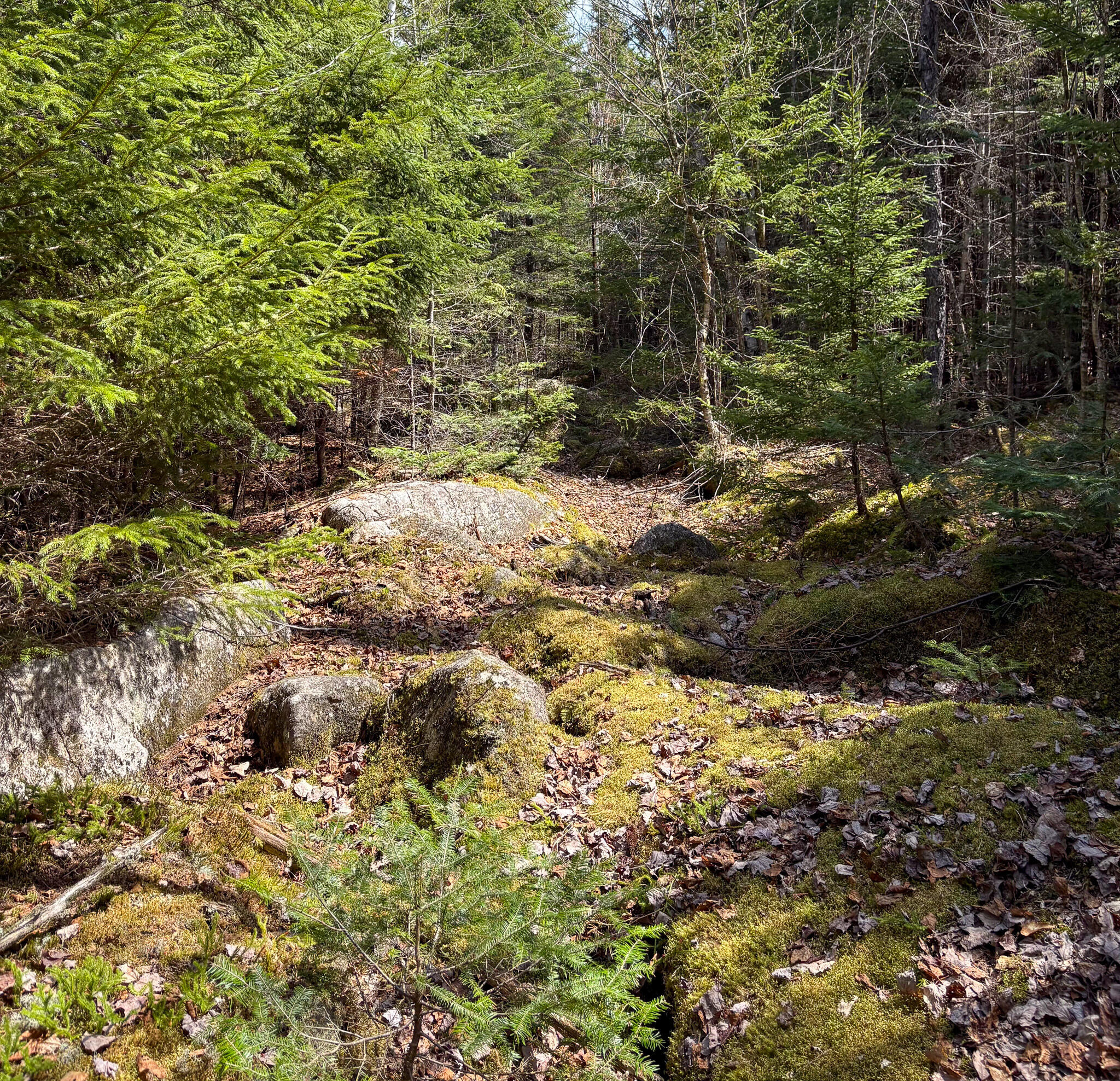 Lot 10 Morrison Brook Acres Oakfield ME 04763