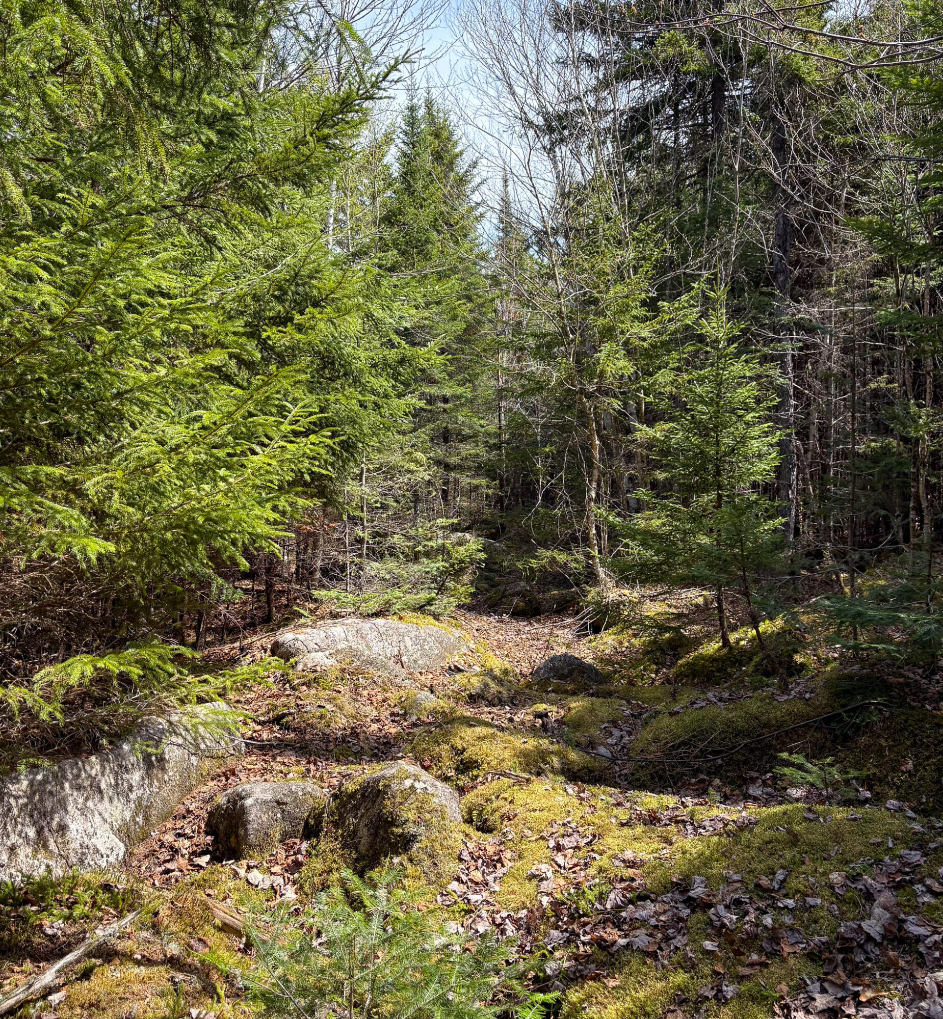 Lot 10 Morrison Brook Acres Oakfield ME 04763