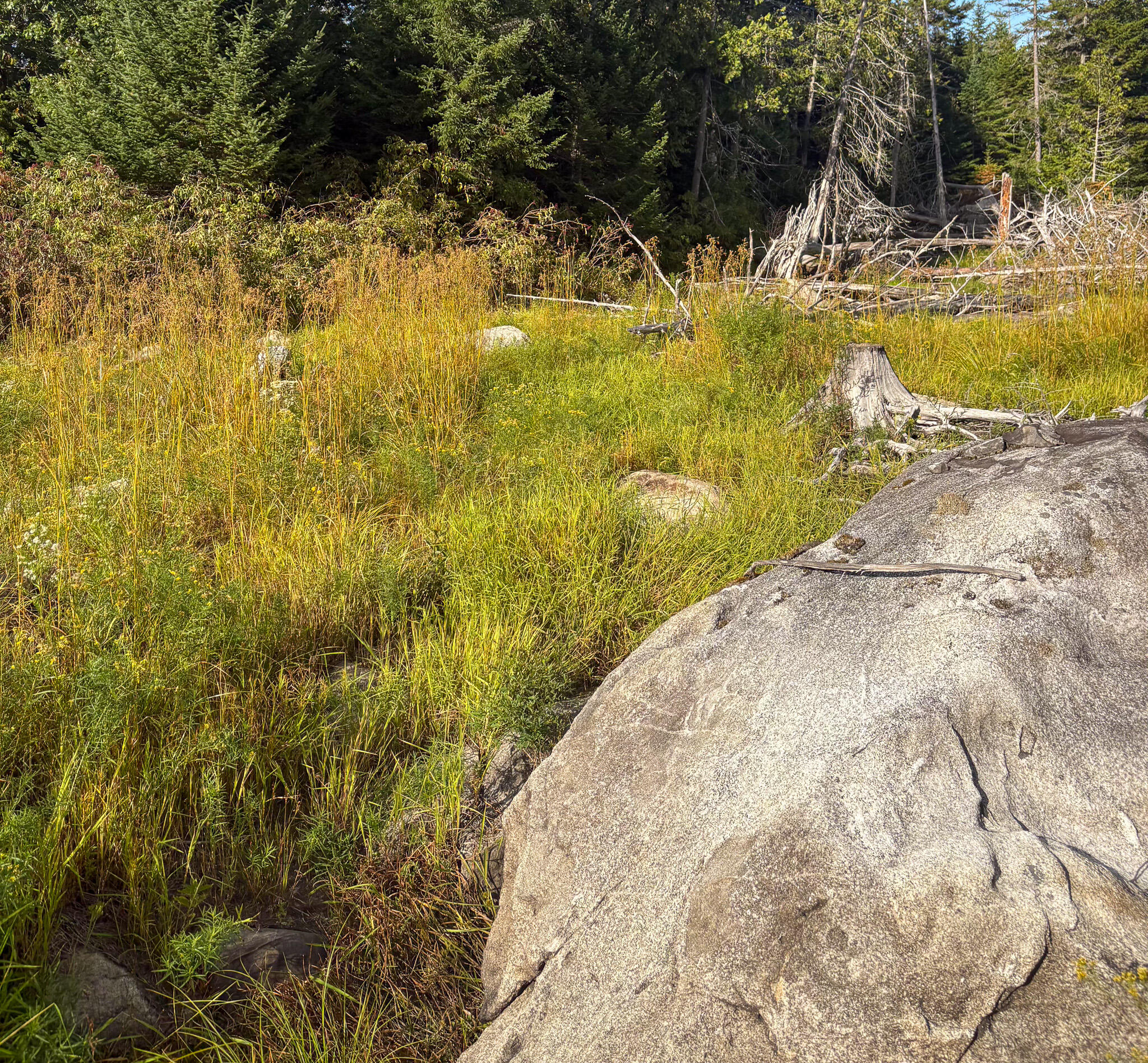 Lot 10 Morrison Brook Acres Oakfield ME 04763