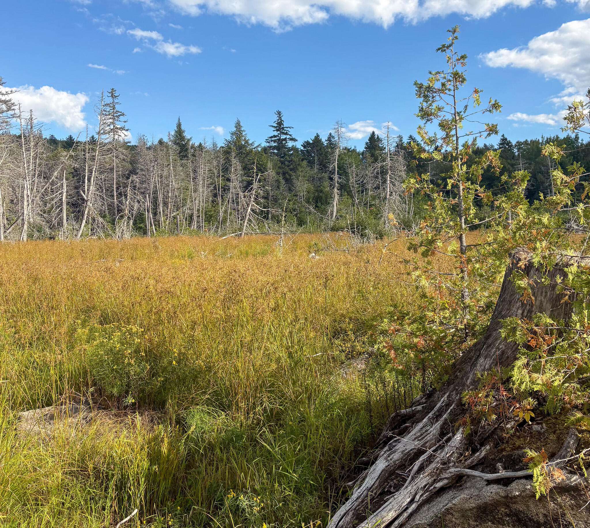 Lot 10 Morrison Brook Acres Oakfield ME 04763