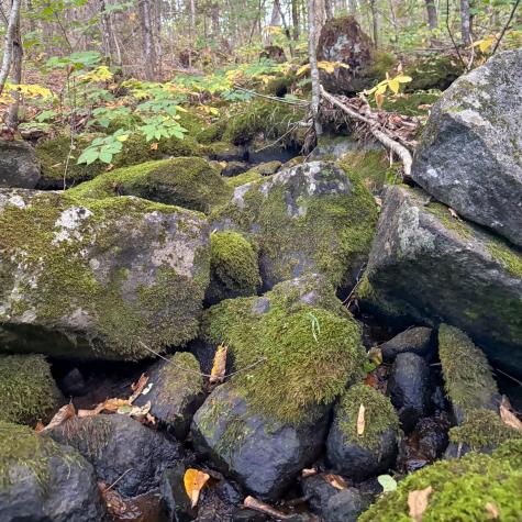 Lot 10 Morrison Brook Acres Oakfield ME 04763