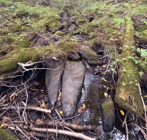 Lot 10 Morrison Brook Acres Oakfield ME 04763