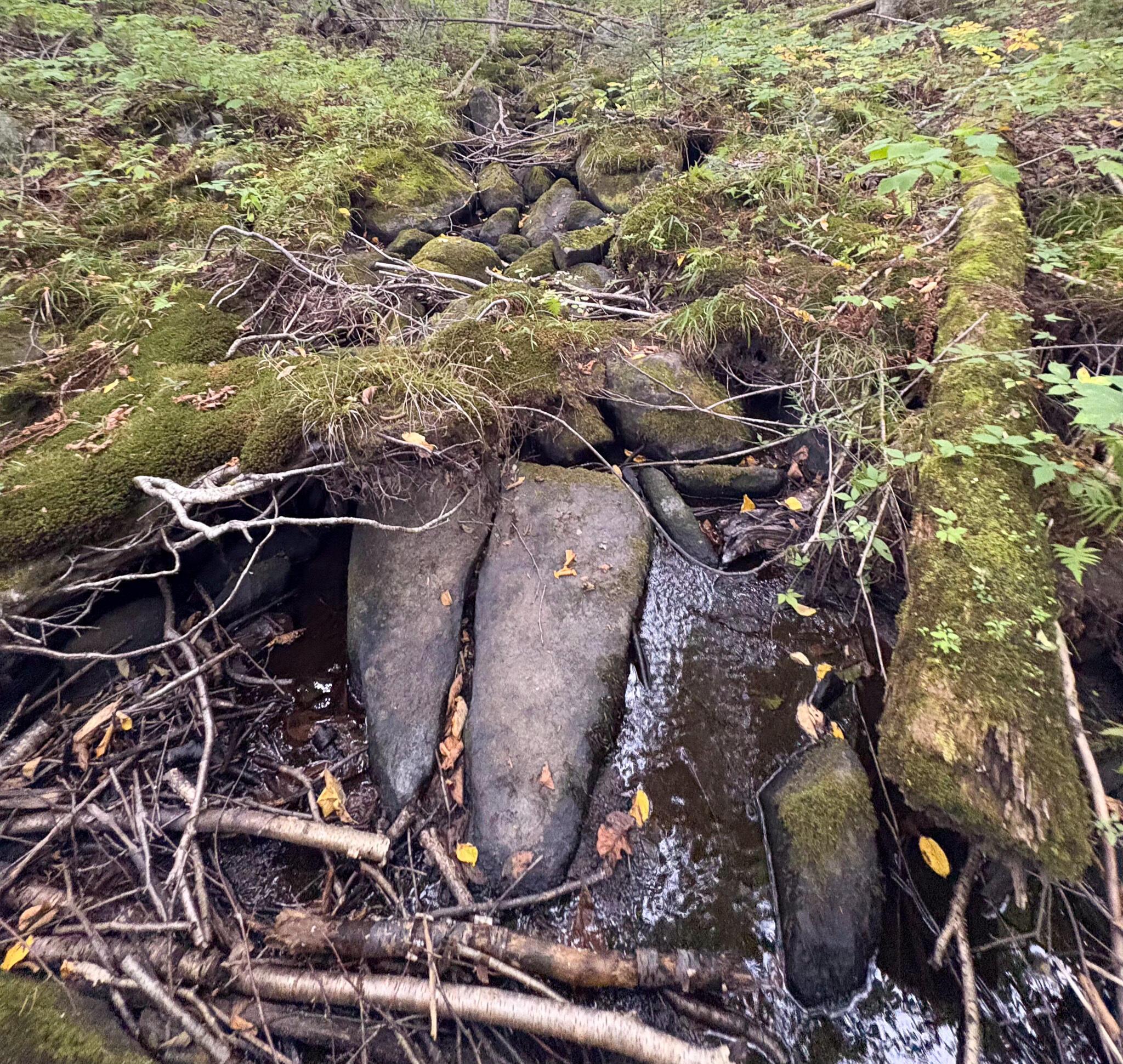 Lot 10 Morrison Brook Acres Oakfield ME 04763