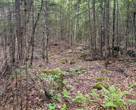 Lot 10 Morrison Brook Acres Oakfield ME 04763