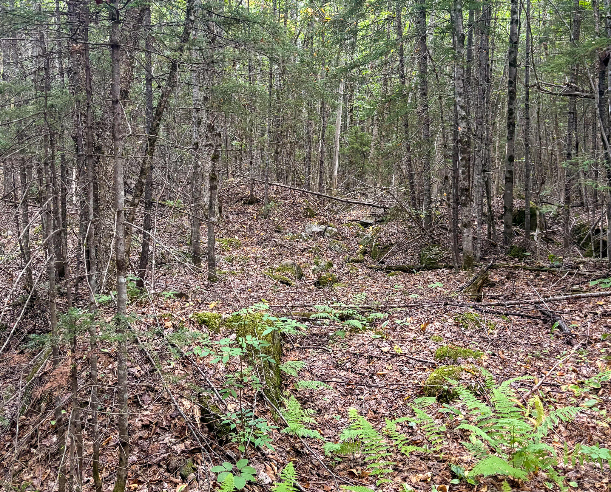 Lot 10 Morrison Brook Acres Oakfield ME 04763