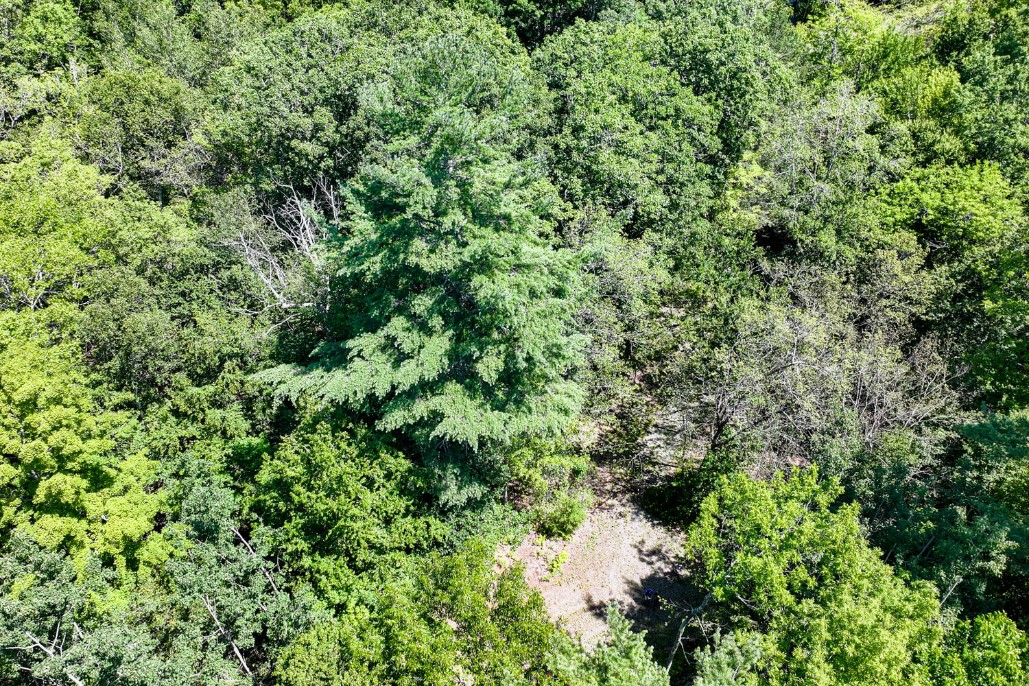 Lot 7 & 16 Blue Bird Lane Warren ME 04864