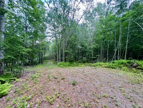 Lot 7 & 16 Blue Bird Lane Warren ME 04864