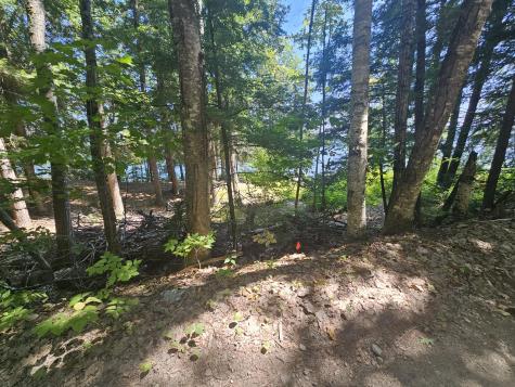 Lot U17-6 Narrow Gauge Trail Hiram ME 04041