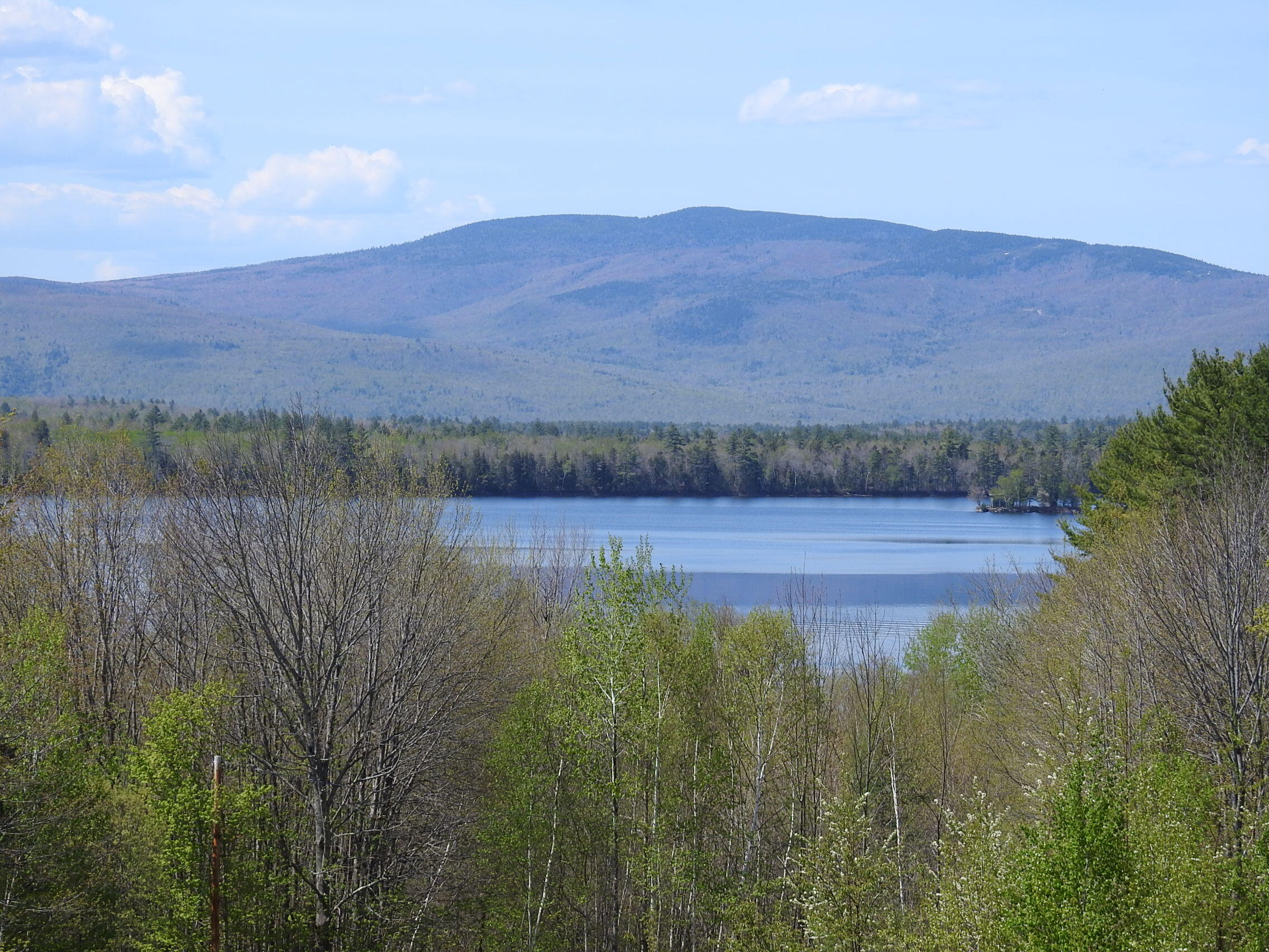 Detail View Noyes Real Estate Agency