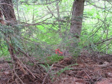 M11 L10-1-1 Lambert Road Skowhegan ME 04976