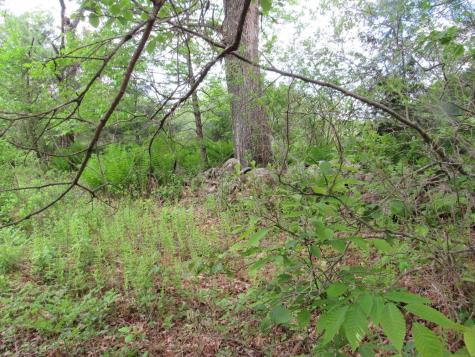 M11 L10-1-1 Lambert Road Skowhegan ME 04976