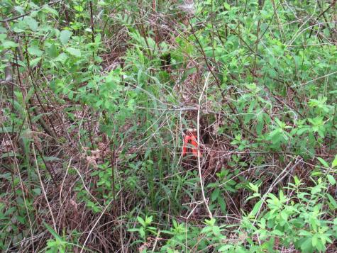 M11 L10-1-1 Lambert Road Skowhegan ME 04976